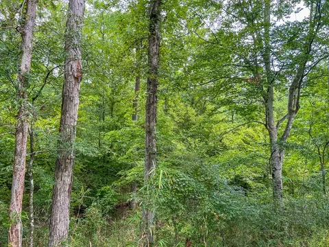 tbd Paul Gallows Rd, Utica, MS 39175 photo 21