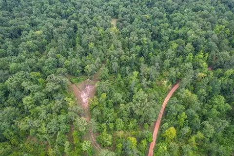 tbd Paul Gallows Rd, Utica, MS 39175 photo 10
