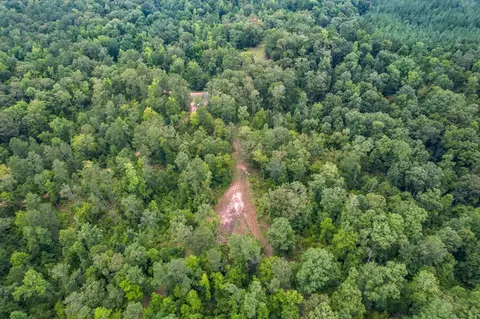 tbd Paul Gallows Rd, Utica, MS 39175 photo 8