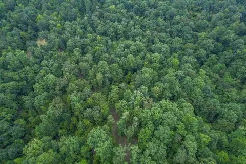 tbd Paul Gallows Rd, Utica, MS 39175 photo 5