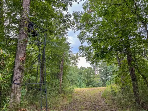 tbd Paul Gallows Rd, Utica, MS 39175 photo 36