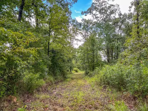tbd Paul Gallows Rd, Utica, MS 39175 photo 22