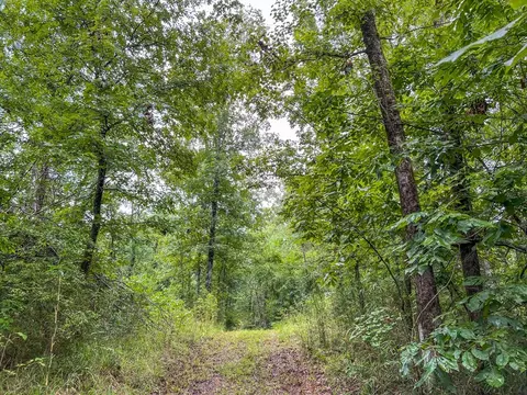 tbd Paul Gallows Rd, Utica, MS 39175 photo 33
