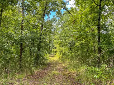 tbd Paul Gallows Rd, Utica, MS 39175 photo 41