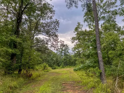 tbd Paul Gallows Rd, Utica, MS 39175 photo 14
