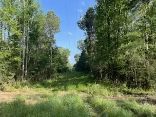 tbd Mcclain Rd, Liberty, MS 39645 photo 8