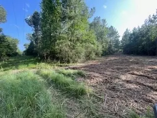 tbd Mcclain Rd, Liberty, MS 39645 photo 7