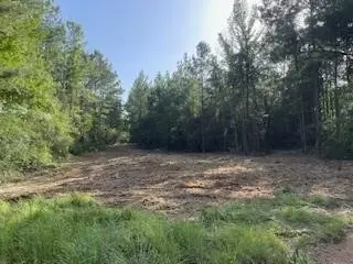 tbd Mcclain Rd, Liberty, MS 39645