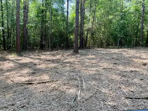 0 Primitive Dr SE, Ruth, MS 39662 photo 11