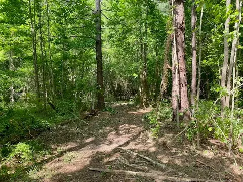0 Primitive Dr SE, Ruth, MS 39662 photo 8