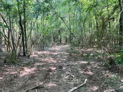 0 Primitive Dr SE, Ruth, MS 39662 photo 6