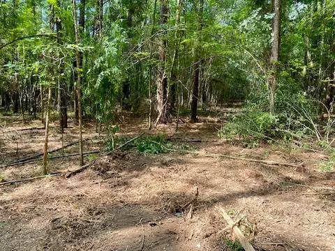 0 Primitive Dr SE, Ruth, MS 39662 photo 10