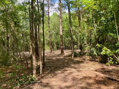 0 Primitive Dr SE, Ruth, MS 39662 photo 4