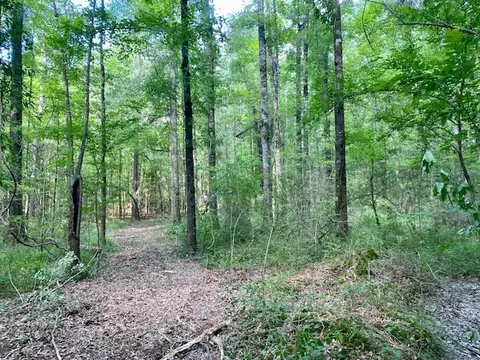0 Primitive Dr SE, Ruth, MS 39662 photo 9