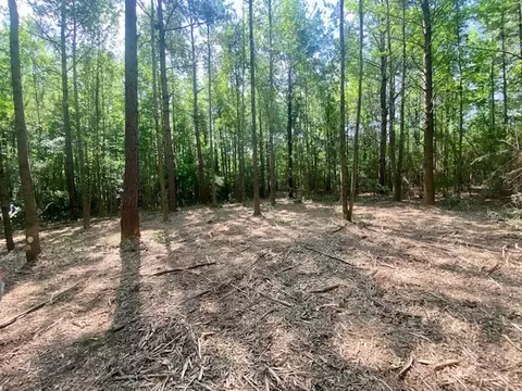 0 Primitive Dr SE, Ruth, MS 39662 photo 2