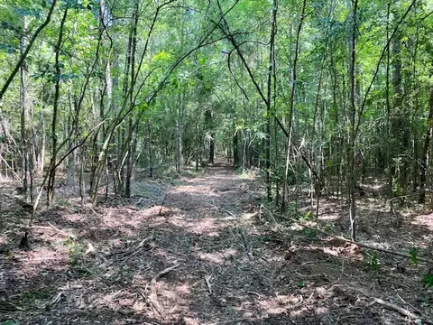 0 Primitive Dr SE, Ruth, MS 39662 photo 12