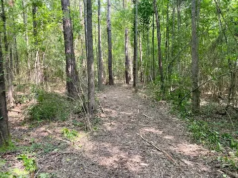 0 Primitive Dr SE, Ruth, MS 39662 photo 3