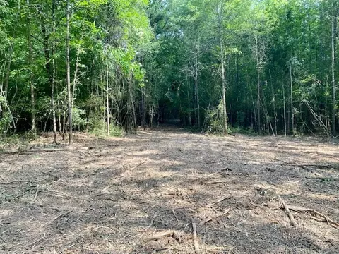 0 Primitive Dr SE, Ruth, MS 39662 photo 5