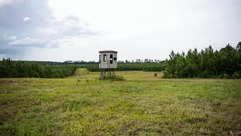 6198 Old Mill Rd, Osyka, MS 39652