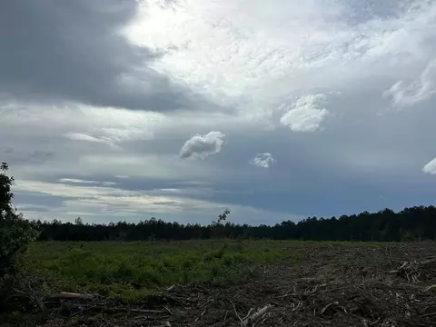 17619 Hwy 98, Smithdale, MS 39664