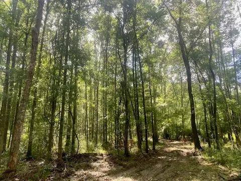 0 Williams Rd, Magnolia, MS 39652 photo 17