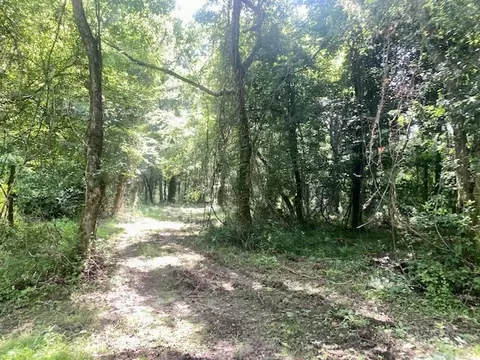 0 Williams Rd, Magnolia, MS 39652 photo 15