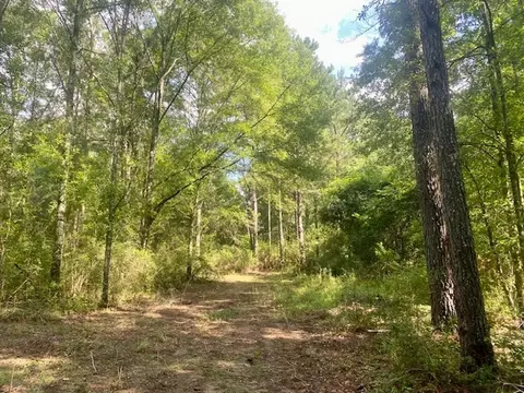 0 Williams Rd, Magnolia, MS 39652 photo 21