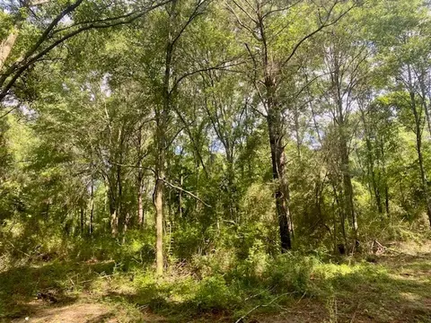 0 Williams Rd, Magnolia, MS 39652 photo 26