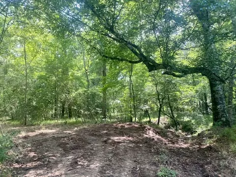 0 Williams Rd, Magnolia, MS 39652 photo 18