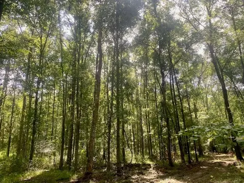 0 Williams Rd, Magnolia, MS 39652 photo 16