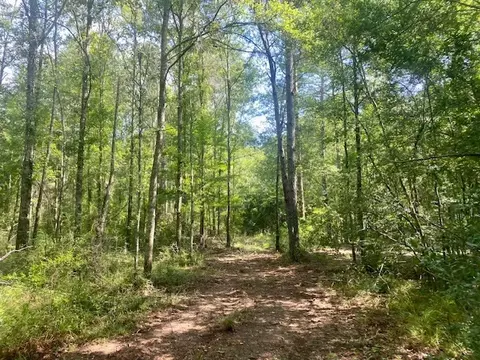 0 Williams Rd, Magnolia, MS 39652 photo 19