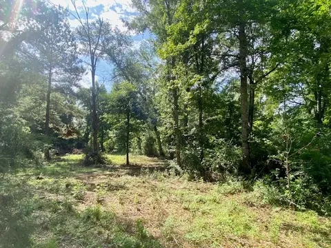0 Williams Rd, Magnolia, MS 39652 photo 13