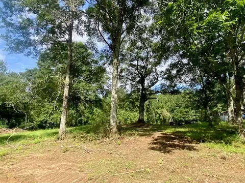 0 Williams Rd, Magnolia, MS 39652 photo 11
