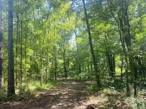 0 Williams Rd, Magnolia, MS 39652 photo 20