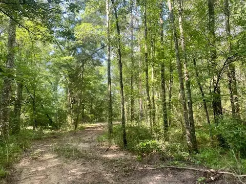 0 Williams Rd, Magnolia, MS 39652 photo 24