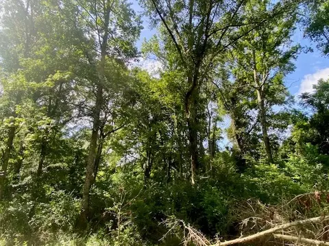 0 Williams Rd, Magnolia, MS 39652 photo 12