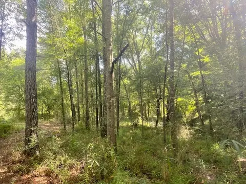 0 Williams Rd, Magnolia, MS 39652 photo 25