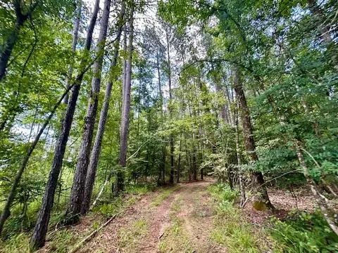 tbd Rollinson Rd, Liberty, MS 39645 photo 43