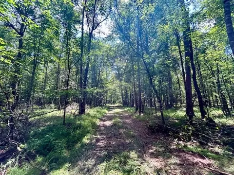 tbd Rollinson Rd, Liberty, MS 39645 photo 54
