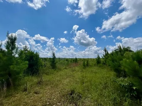 tbd Rollinson Rd, Liberty, MS 39645 photo 34