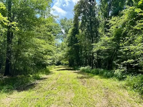 tbd Rollinson Rd, Liberty, MS 39645 photo 52