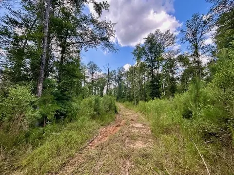 tbd Rollinson Rd, Liberty, MS 39645 photo 29