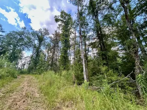 tbd Rollinson Rd, Liberty, MS 39645 photo 30