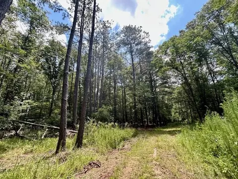 tbd Rollinson Rd, Liberty, MS 39645 photo 46