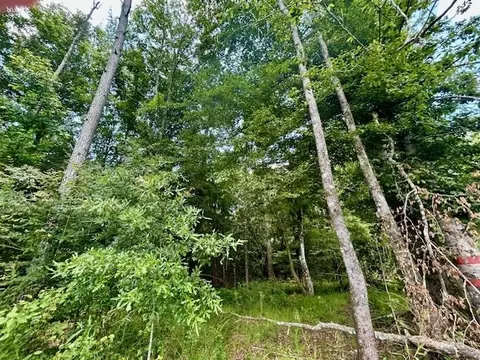 tbd Rollinson Rd, Liberty, MS 39645 photo 42