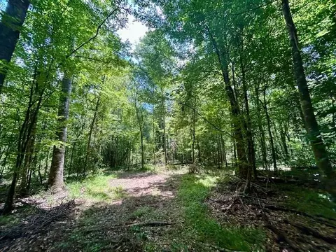 tbd Rollinson Rd, Liberty, MS 39645 photo 55