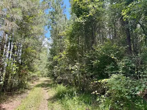 tbd Rollinson Rd, Liberty, MS 39645 photo 73