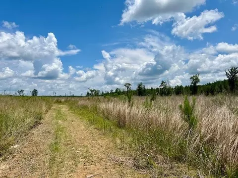 tbd Rollinson Rd, Liberty, MS 39645 photo 71