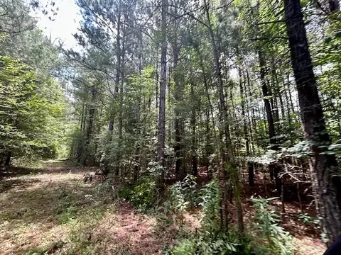 tbd Rollinson Rd, Liberty, MS 39645 photo 80