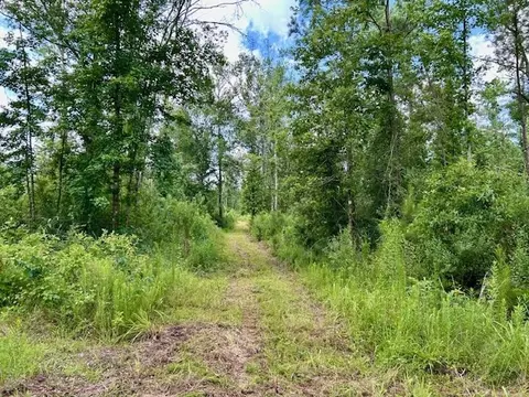 tbd Rollinson Rd, Liberty, MS 39645 photo 27
